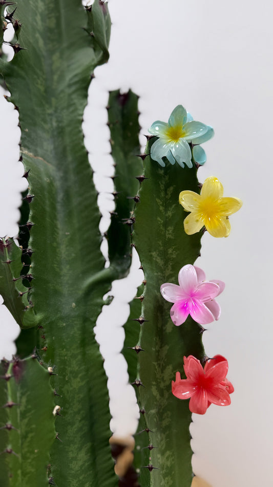Petite pince fleur
