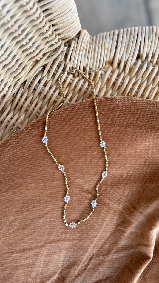 Collier PIA