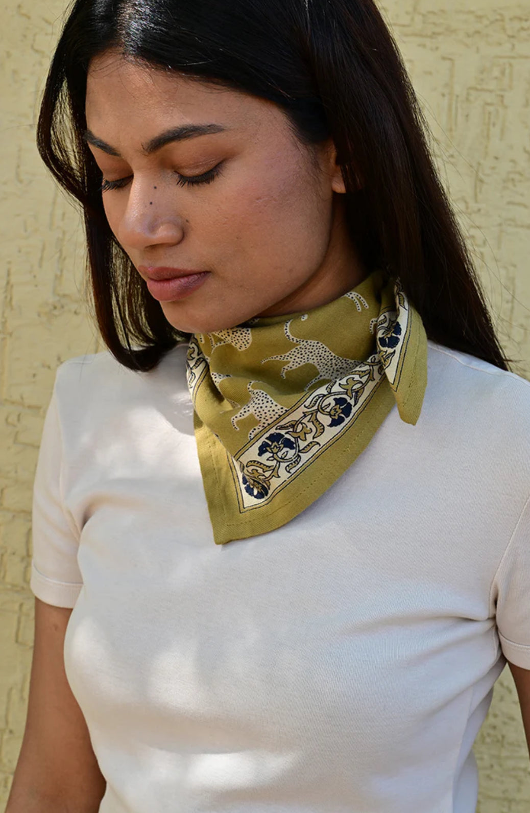 Petit Foulard fauve noix